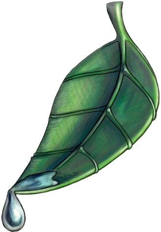 Gozreh